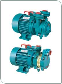 Click for more info about Domestic Monoblock Submersible Pumps